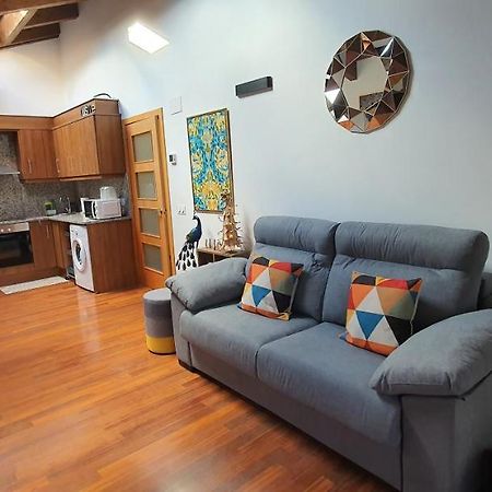 Cal Tranquil Camprodon, Acollidor Atic Al Centre Apartment ภายนอก รูปภาพ