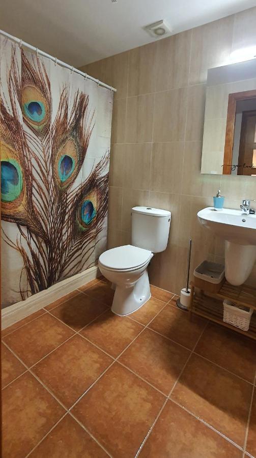 Cal Tranquil Camprodon, Acollidor Atic Al Centre Apartment ภายนอก รูปภาพ