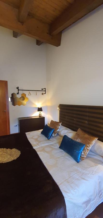 Cal Tranquil Camprodon, Acollidor Atic Al Centre Apartment ภายนอก รูปภาพ