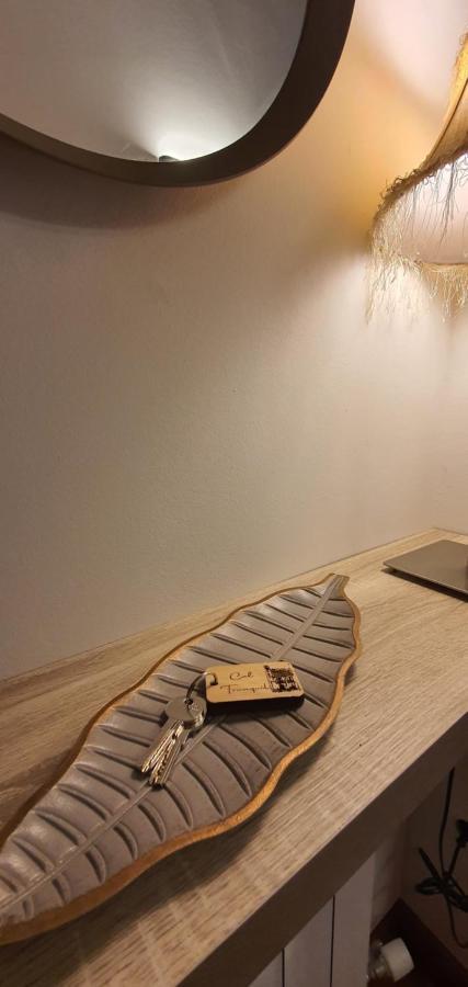 Cal Tranquil Camprodon, Acollidor Atic Al Centre Apartment ภายนอก รูปภาพ