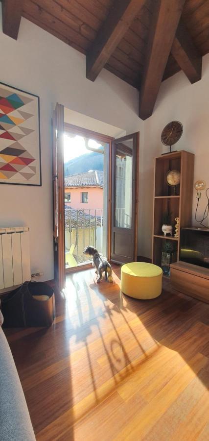 Cal Tranquil Camprodon, Acollidor Atic Al Centre Apartment ภายนอก รูปภาพ